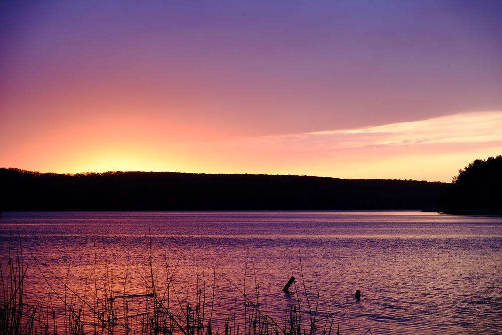 scenes near top rated Minnesota Wedding Venue in Red Wing