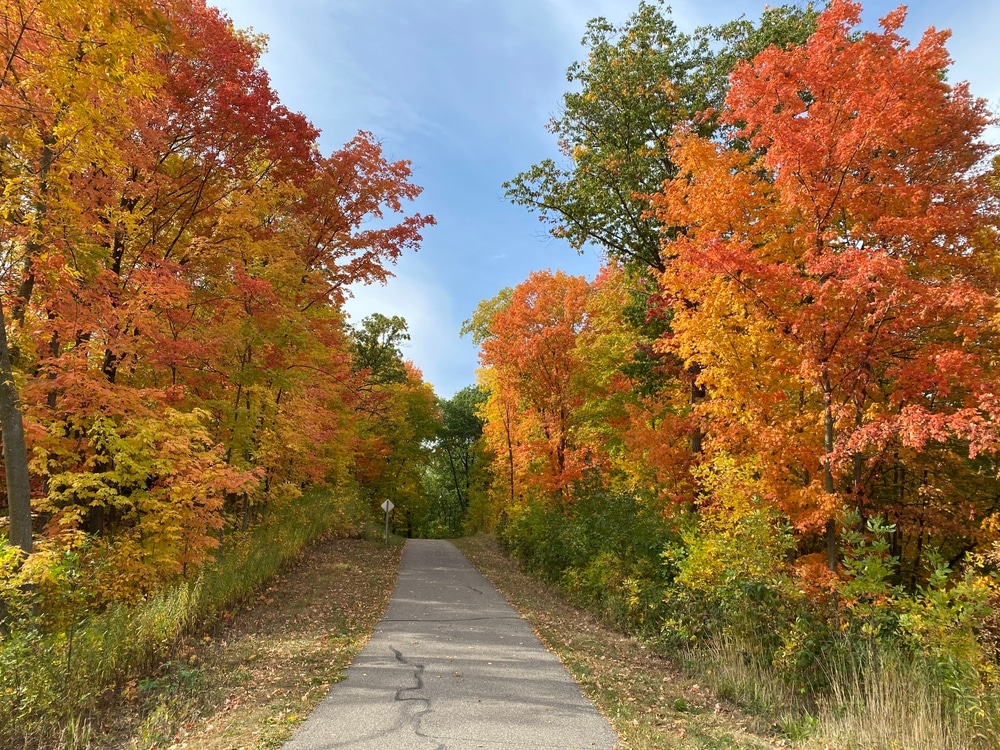 The Best Minnesota Fall Getaways 1 A bike path through the trees is a great way to enjoy Minnesota Fall foliage.